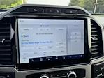 2022 Ford F-250 Crew Cab 4WD Pickup for sale #U23001 - photo 10