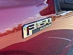 2019 Ford F-150 SuperCrew Cab 4WD Pickup for sale #U23231 - photo 8