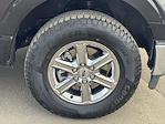 Used 2025 Ford F-150 XLT SuperCrew Cab for sale #U23429 - photo 23