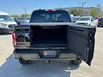 2025 Ford F-150 SuperCrew Cab 4x4 Pickup for sale #50297 - photo 8