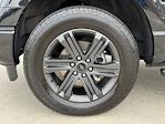 2023 Ford F-150 SuperCrew Cab 4WD Pickup for sale #PR0879 - photo 14