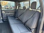 2024 Ford F-150 SuperCrew Cab 4WD Pickup for sale #PR0993A - photo 18