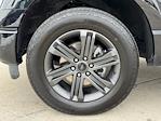 2023 Ford F-150 SuperCrew Cab 4WD Pickup for sale #PR1039 - photo 15