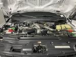 2020 Ford F-250 Crew Cab 4x4 Pickup for sale #1EC85066 - photo 9
