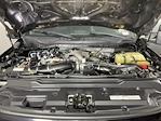 2020 Ford F-350 Crew Cab SRW 4WD Pickup for sale #1EE16113 - photo 9