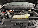 2024 Ford F-150 SuperCrew Cab 4WD Pickup for sale #1FA64439 - photo 7