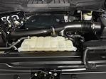 2023 Ford F-150 SuperCrew Cab 4WD Pickup for sale #1FC45250 - photo 9