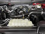 2021 Ford F-150 SuperCrew Cab RWD Pickup for sale #1KE62914 - photo 9
