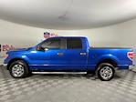 2011 Ford F-150 SuperCrew Cab RWD Pickup for sale #BFD22293 - photo 6