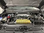 2020 Ford F-150 SuperCrew Cab 4x2 Pickup for sale #LKE77721 - photo 9