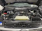 2023 Ford F-150 Super Cab 4x2 Pickup for sale #PKD94090 - photo 9