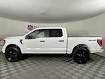 2023 Ford F-150 SuperCrew Cab 4WD Pickup for sale #PKE02020 - photo 6