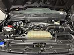 2023 Ford F-150 SuperCrew Cab 4x2 Pickup for sale #PKF17103 - photo 9