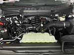 2024 Ford F-150 SuperCrew Cab 4x4 Pickup for sale #RFA47126 - photo 9