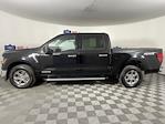 2024 Ford F-150 SuperCrew Cab 4WD Pickup for sale #RFA72308 - photo 7