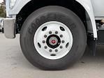 2025 Ford F-650 Crew Cab DRW 4x2 Landscape Dump for sale #SDF05549 - photo 10