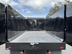 2025 Ford F-650 Crew Cab DRW 4x2 Landscape Dump for sale #SDF05549 - photo 12