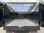 2025 Ford F-650 Crew Cab DRW 4x2 Landscape Dump for sale #SDF05549 - photo 13