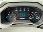 2025 Ford F-650 Crew Cab DRW 4x2 Landscape Dump for sale #SDF05549 - photo 28