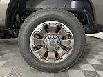 2025 Ford F-350 Crew Cab SRW 4x4 Pickup for sale #SED13216 - photo 10