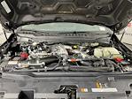 2025 Ford F-350 Crew Cab SRW 4WD Pickup for sale #SED53039 - photo 10