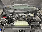 2025 Ford F-150 SuperCrew Cab 4x2 Pickup for sale #SFA05795 - photo 9