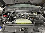 2025 Ford F-150 SuperCrew Cab 4x2 Pickup for sale #SFA73305 - photo 9