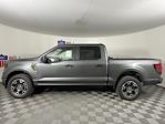 2025 Ford F-150 SuperCrew Cab 4WD Pickup for sale #SFB15566 - photo 6
