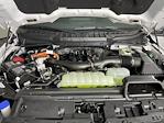 2025 Ford F-150 SuperCrew Cab 4WD Pickup for sale #SFB65716 - photo 9
