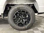 2025 Ford F-150 SuperCrew Cab 4WD Pickup for sale #SFB65733 - photo 10