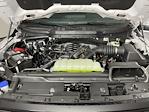 2025 Ford F-150 SuperCrew Cab 4WD Pickup for sale #SFB78059 - photo 9