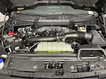 2025 Ford F-150 SuperCrew Cab 4x4 Pickup for sale #SKD32099 - photo 9
