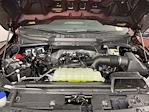 2025 Ford F-150 SuperCrew Cab RWD Pickup for sale #SKD96041 - photo 9