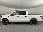 2025 Ford F-150 SuperCrew Cab 4x4 Pickup for sale #SKD96186 - photo 6