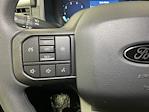 2025 Ford F-150 SuperCrew Cab 4x2 Pickup for sale #SKD96710 - photo 24