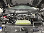 2025 Ford F-150 SuperCrew Cab 4WD Pickup for sale #SKE00891 - photo 9