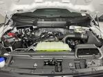 New 2025 Ford F-150 XLT SuperCrew Cab for sale #SKE19631 - photo 9