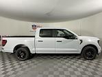 2025 Ford F-150 SuperCrew Cab 4x2 Pickup for sale #SKE24825 - photo 3