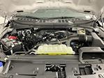 2025 Ford F-150 SuperCrew Cab 4x2 Pickup for sale #SKE24825 - photo 9