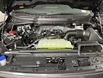 2025 Ford F-150 SuperCrew Cab 4x2 Pickup for sale #SKE24826 - photo 9