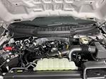 2025 Ford F-150 SuperCrew Cab RWD Pickup for sale #SKE24829 - photo 9