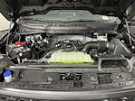 2025 Ford F-150 SuperCrew Cab 4x2 Pickup for sale #SKE24862 - photo 9