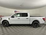 2025 Ford F-150 SuperCrew Cab 4x2 Pickup for sale #SKE24902 - photo 6