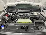 2025 Ford F-150 SuperCrew Cab 4x2 Pickup for sale #SKE24902 - photo 9