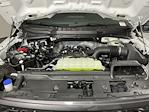 2025 Ford F-150 SuperCrew Cab 4WD Pickup for sale #SKE24913 - photo 9