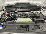 2025 Ford F-150 Regular Cab RWD Pickup for sale #SKF58037 - photo 9