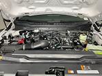 New 2026 Ford F-250 XL Crew Cab for sale #TED12821 - photo 9