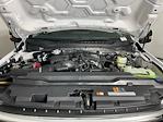 New 2026 Ford F-250 XLT Crew Cab for sale #TED13738 - photo 9