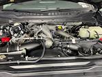 New 2026 Ford F-250 XLT Crew Cab for sale #TED43988 - photo 9