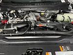 New 2026 Ford F-250 Platinum Crew Cab for sale #TED80845 - photo 9
